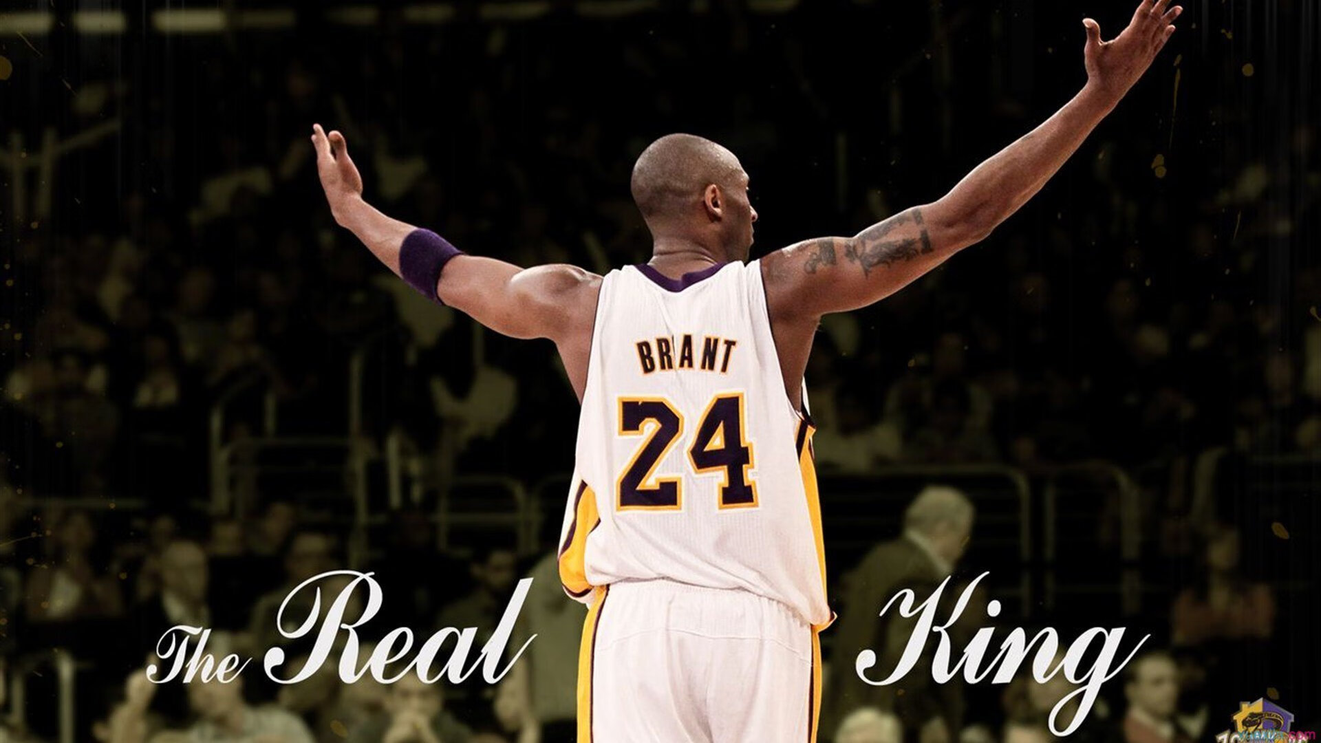 铁闸锁死乾坤！阿劳霍一夫当关，多特蒙德争冠生死战力克葡萄牙强敌